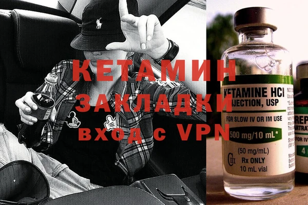 стаф Алзамай