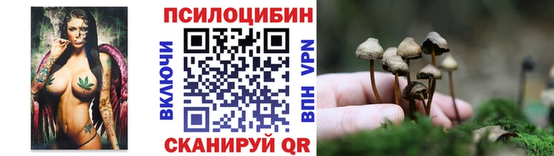 Псилоцибиновые грибы GOLDEN TEACHER Чадан